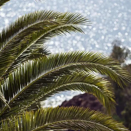 Tiara Yaktsa Cote D'azur Hotel Theoule-sur-Mer