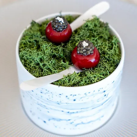 Tiara Yaktsa Cote D'azur Otel